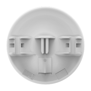 RBDisc-5nD vista posterior