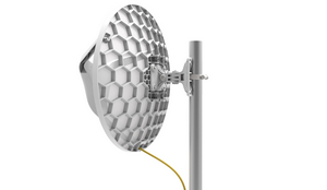 RBLHGG-60ad vista posterior